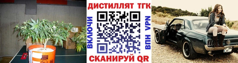 darknet как зайти  Ардатов  ТГК концентрат  сколько стоит 